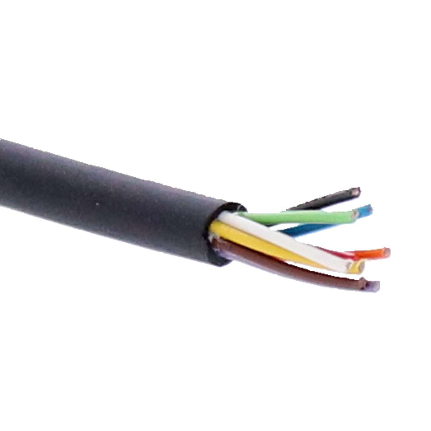 Dapper Motor — Motogadget — 9-strand electrical wiring cable